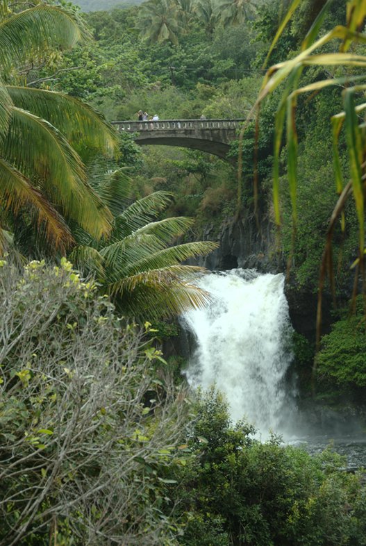 Maui: Scenic Route