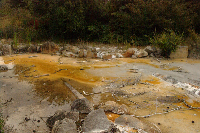Kuirau Park, Rotorua, New Zealand: Thermal Pool