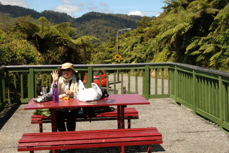 Greymouth, New Zealand: Roadside Stop