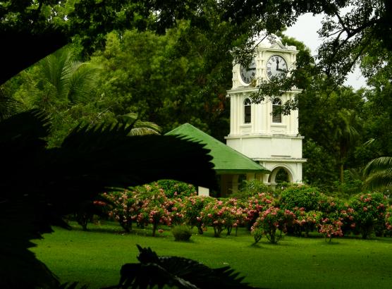 Suva, Fiji:  Thornton Gardens tower