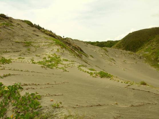 Sigatoka, Fiji: Sand dunes