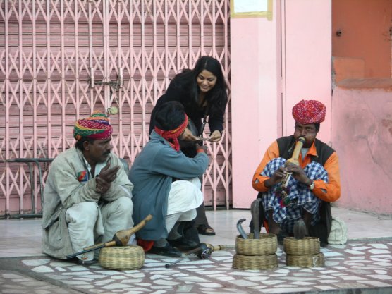 Jaipur, India: Snake Charmers