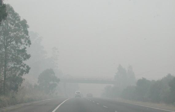 New South Wales, Australia: In Bushfire Smoke