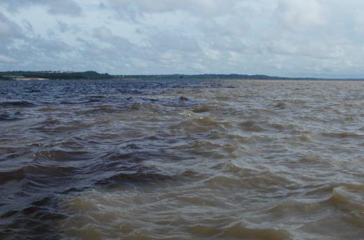 Manaus, Brazil: Meeting of the waters