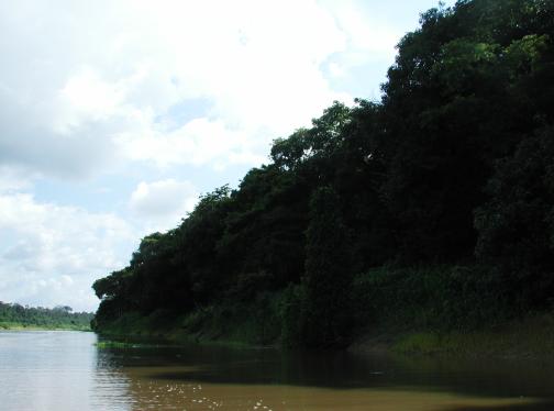 Araca River, Brazil