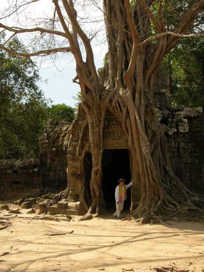Big roots overtaking the temple